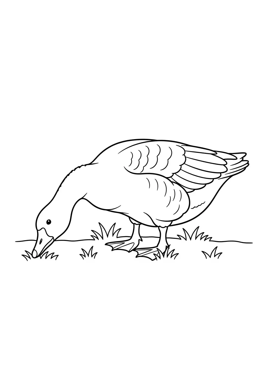 Goose Eating Grass Coloring Page