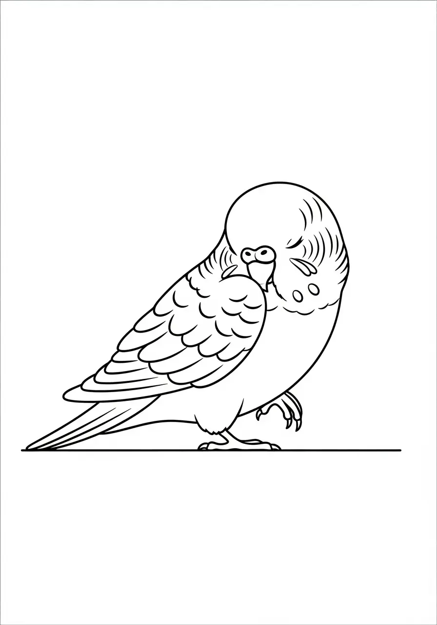 Sleeping Parakeet Coloring Page
